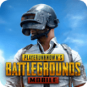 PUBG国际服地铁逃生安卓官方版 v3.25.00