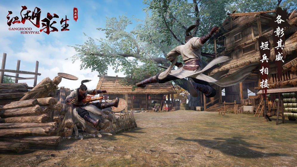 江湖求生安卓直装版图1