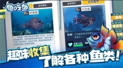 深海大鱼吃小鱼手机正版图3