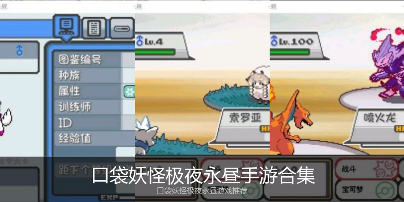 口袋妖怪极夜永昼手游合集