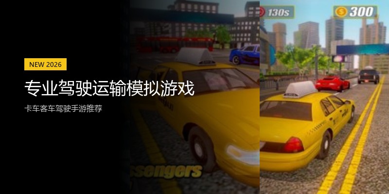 专业驾驶运输模拟游戏