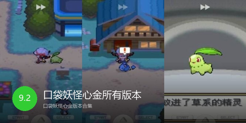 口袋妖怪心金所有版本