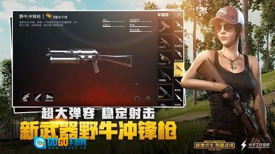 pubg mobile国际服直装版图4