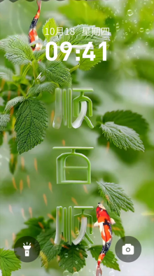 快闪壁纸最新免费版图1