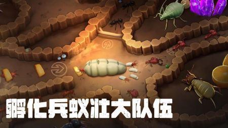 蚂蚁大冒险官方正版图3
