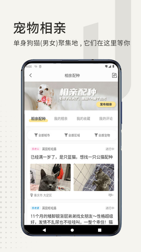 小臭美安卓直装版图3