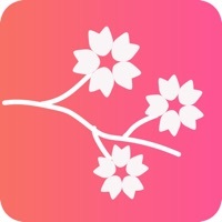 桃花相机手机最新版