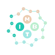 MBTI官网版免费版2026