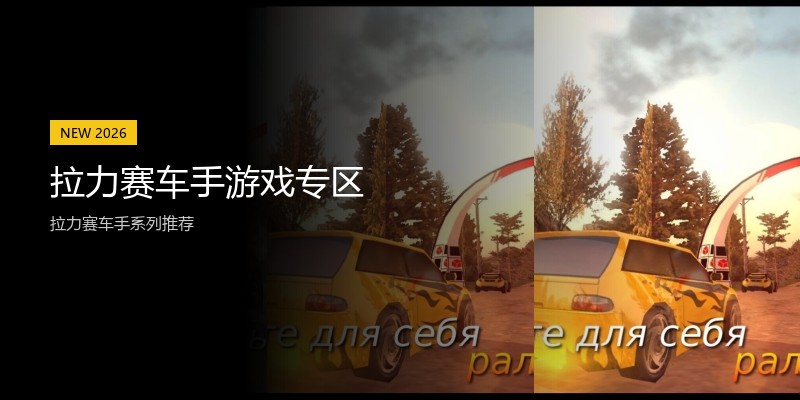 拉力赛车手游戏专区