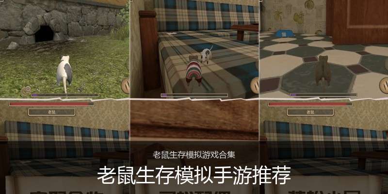 老鼠生存模拟手游推荐