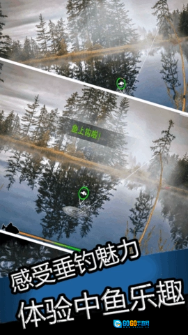 真实钓鱼大师游戏绿色版图2