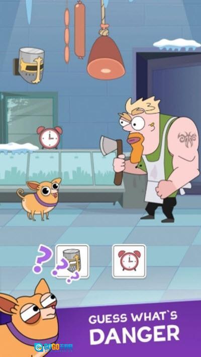 迷路的吉娃娃图3