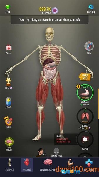 人体模型汉化版图1