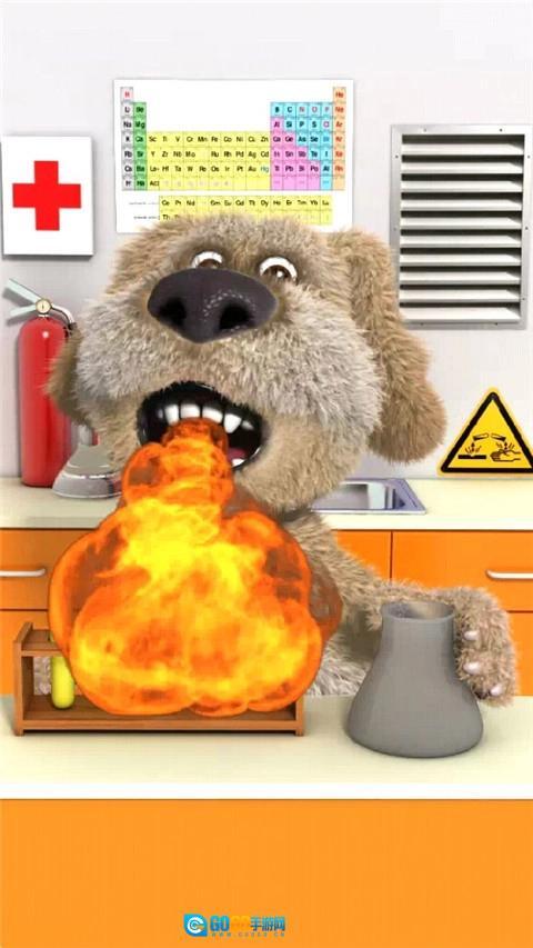 会说话的狗狗本安卓版图3