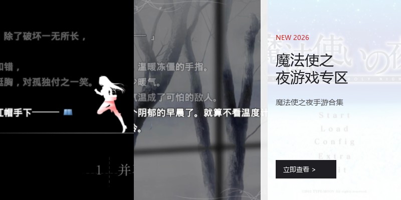 魔法使之夜游戏专区