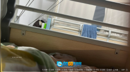 沙湖神大人求包养图2