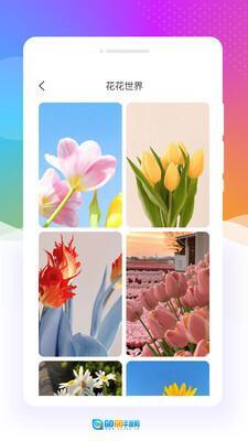 元气口袋壁纸图3