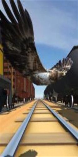 库库鸟隧道飞行直装版图1