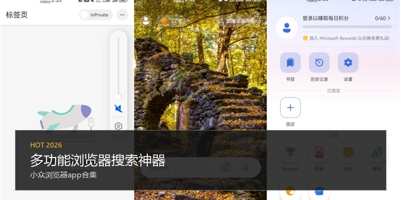 多功能浏览器搜索神器
