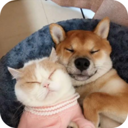 萌趣猫狗翻译器安卓官方版