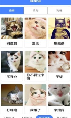 萌趣猫狗翻译器安卓官方版(2)