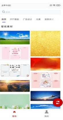 白鸽壁纸安卓免费版图3