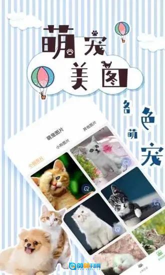 人猫翻译交流器图4