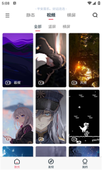 椰子壁纸安卓版图3