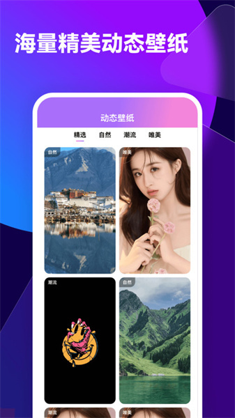 透透壁纸正版图1