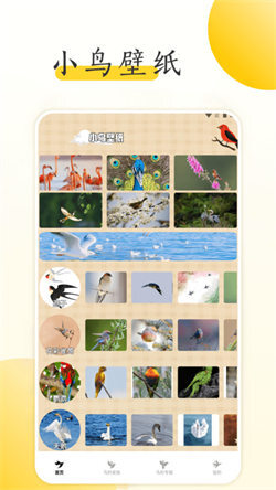 小鸟壁纸大全官方版图1