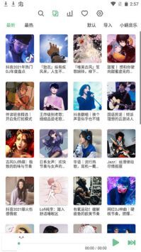 洛雪音乐手机版(3)