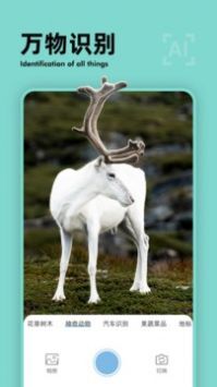 扫描计数王无广告版图3