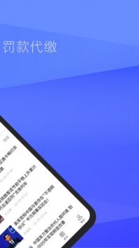 12123查违章官方正版(2)