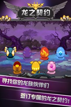 龙之契约手游版图4