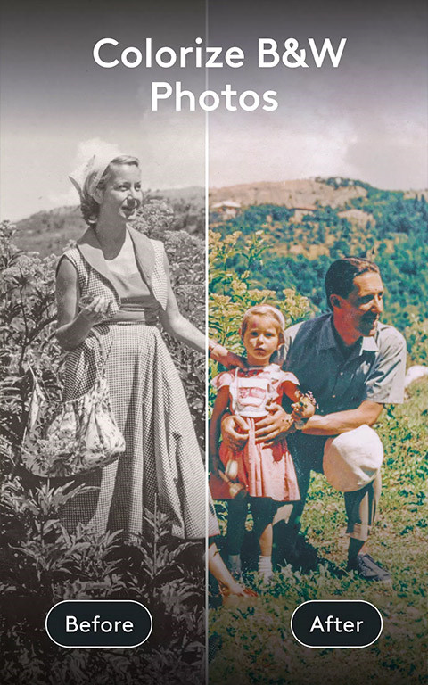 photoleap安卓直装版图2