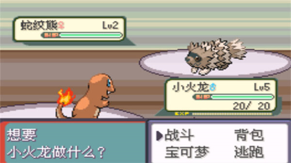 口袋妖怪传说绿宝石安卓官方版图2