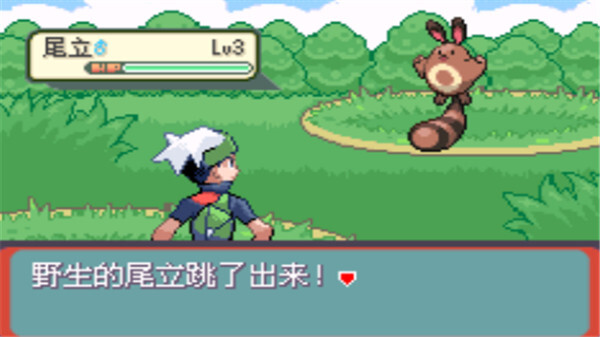 口袋妖怪传说绿宝石安卓官方版图5