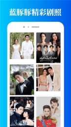 蓝豚豚手机版图2