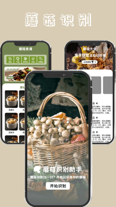 蘑菇识别高手通用版(3)