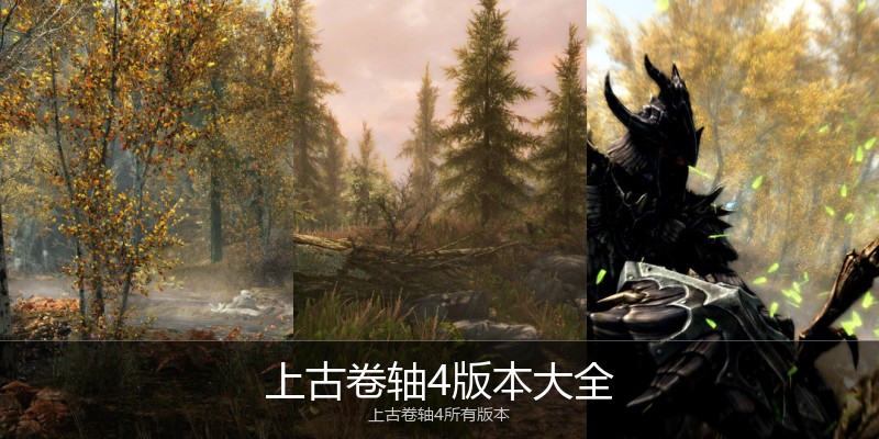 上古卷轴4版本大全