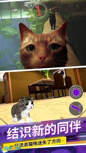 猫咪城市模拟图3