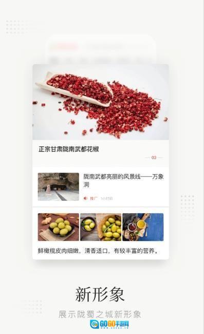 陇蜀之城安卓版图2