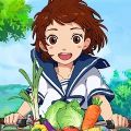 新小森生活游戏正版