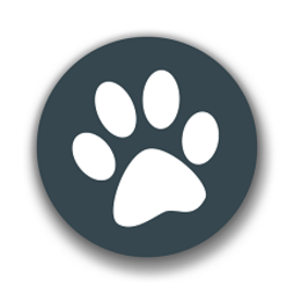 兽音翻译官网版