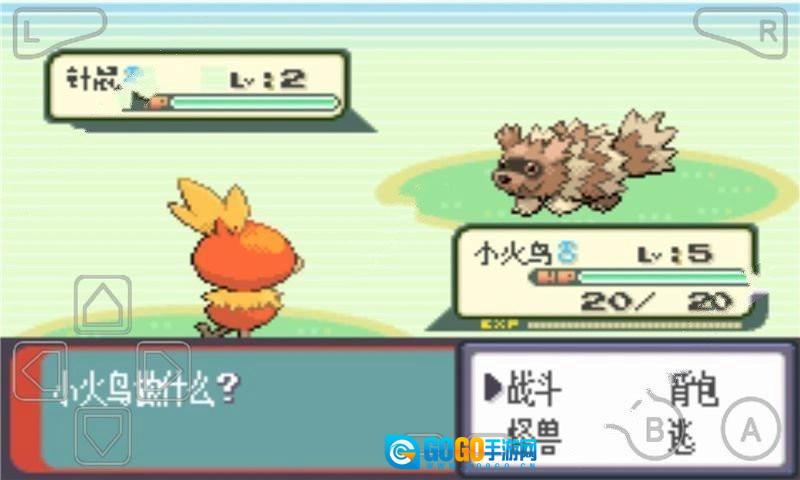 口袋妖怪绿宝石493最终版图2