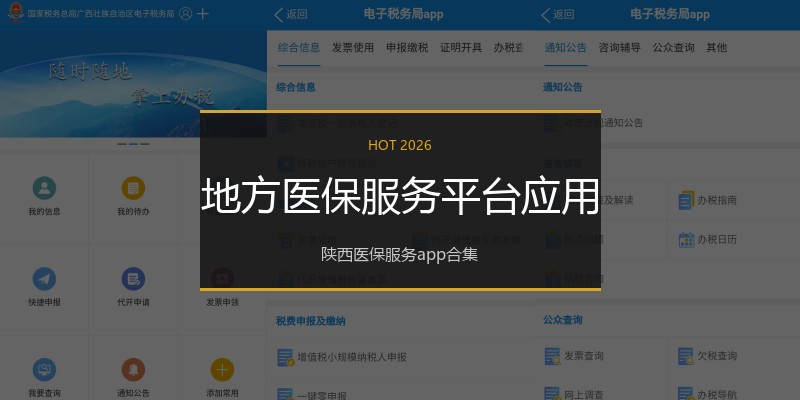 地方医保服务平台应用