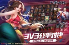 三国战纪街机最新版(2)