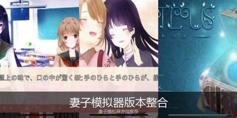 妻子模拟器版本整合