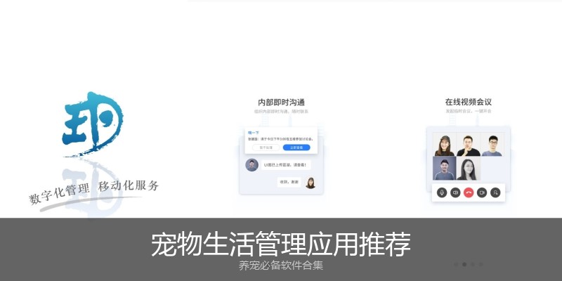 宠物生活管理应用推荐
