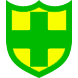 奇式网盾手机正版